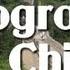 Geography Of China