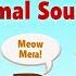 ABC Animal Sounds Song A To Z Animal Names Sounds Learn Alphabet With Animals Kids Clap TV