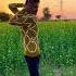 Mehman Trending Youtubeshorts Viral Explore Views Mehman