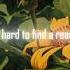 Marino I Can T Fit In Lyrics Edit