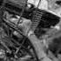 Barry McGuire Eve Of Destruction 1965 Subtitulada