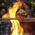 SUTTA MEEN 2025 Shortsfeed Shorts Cooking Chicken Foodie Fish Fishfry Fishcutting