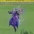 Raidon Has Wayyyy Too Much Hp Genshinimpact