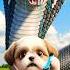 Poor Cub Rescues Pregnant Giant Cobra Cub Rescue Dropgiantcobra Animals Funny