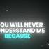 YOU WILL NEVER UNDERSTAND ME Shorts Qoutes Attitude 1k