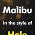 Hole Malibu Karaoke Version From Zoom Karaoke