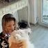 Iubițica Lu Mama Samoyedpuppy Layla Lovedpuppy Fluffypuppy Littlepaws Fyp Dog