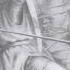 Celtic Dance Wofthrone Regressus Ad Uterum Memories From Ancestral Times FULL SPLIT