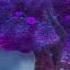 Magic In Us My Little Pony Make Your Mark Mlp Shorts Mym Mylittleponymusic