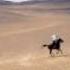 Desert Movie Song Desert Rose By Sting M4v