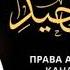 Ислам 248 Хадис Хауля бинт Хаким Ринат Абу Мухаммад