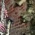 SAXOPHONE Charles Aznavour Шарль Азнавур Вечная любовь Cover