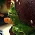 Mouth Watering Black Burger Chocolate Burger Street Food In Bangladesh AD Food Network