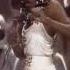 Precious Wilson We Are On The Race Track Mounties TV Show 13 11 1981 The Netherlands