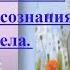 Матрёшка Мощнейшая техника расширения сознания и выхода из тела Ванда Дмитриева