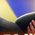Zelenskyy LASHES OUT At The U S Trump DESCENDS INTO MADNESS Putin S ORDER On SMO STIRS UP EVERYONE