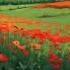 DonReven Битва На Полях Фландрии In Flanders Fields