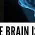 Your Brain Is A Hologram The Revolutionary Theory Of Karl Pribram
