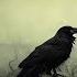 The Raven Edgar Allan Poe Animated Audiobook Poem