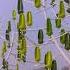 The Wind Trees From New World Wind Has The Shape Of A Tree And Generates Clean Wind Energy