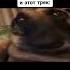 Стук в дверь