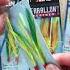 P Line Farallon Feather Jig Part 1 Of 2