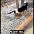 집사 한숨소리 여기까지 들림