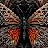 Limetra CTLX Northern Winds Journey Of The Soul