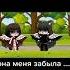 она меня забыла