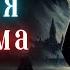 Академия Драконов Книга 2 Юмористическое фэнтези Слушать Аудиокнигу