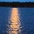 Karunesh Moon In The Water