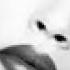 Sade I Miss You Like The Desert Miss The Rain