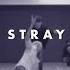Stray Kids I Am YOU Dance Practice Teaser