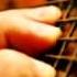 Korea Uz Doni Gitarist Ahror Ayollar
