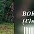 BOKeTE Bad Bunny Clean Version