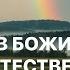 Джойс Майер Войдите в Божий сверхъестественный покой