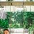 Andrew Holness S Wife 3 Children House Tour Cars Net Worth Lifestyle 2025