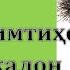 Натиҷаи охирон имтиҳони калон 26 06 2021 Кластери 5 тиббӣ