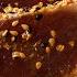 How To Make Sesame Seared Ahi Tuna