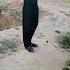 Give Your Son To Ali Sending A Letter From Faridah S Mother That Worried Faridah