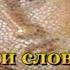 Ой ты Галю