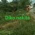 Short Diko Nakita