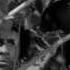COMBAT S 3 Ep 24 A Walk With An Eagle 1965