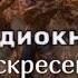 Воскресение Z глава 1 Mp4 АУДИОКНИГА зомби апокалипсис Читает автор