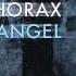 Thorax Dark Angel THOPRO001