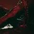 Scarlxrd PUNCTURE PROD Maskedlxrd