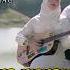 Cut Rani Hanya Dirimu Yang Ku Mau Karaoke Version Cutrani Karaoke Foryou Slowrock