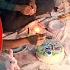 Thieves Attack The Farm On Arshida S Birthday