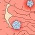 Bacteria And Viruses What Is The Difference Between Bacteria And Viruses