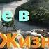 Секреты жизни Введение в Законы Жизни Человека